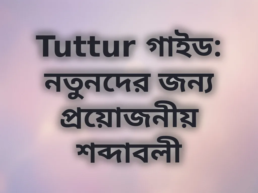 Tuttur টার্মিনোলজি গাইড